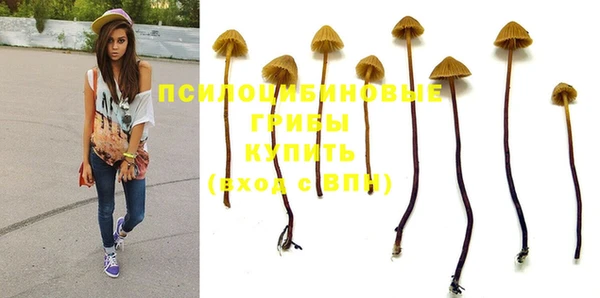 стаф Армянск