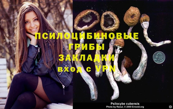 стаф Армянск